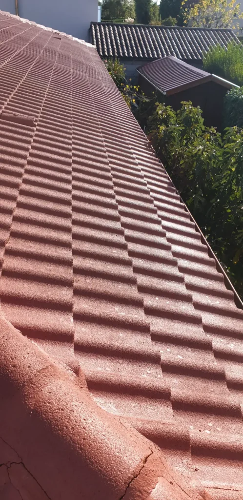 peinture tuiles